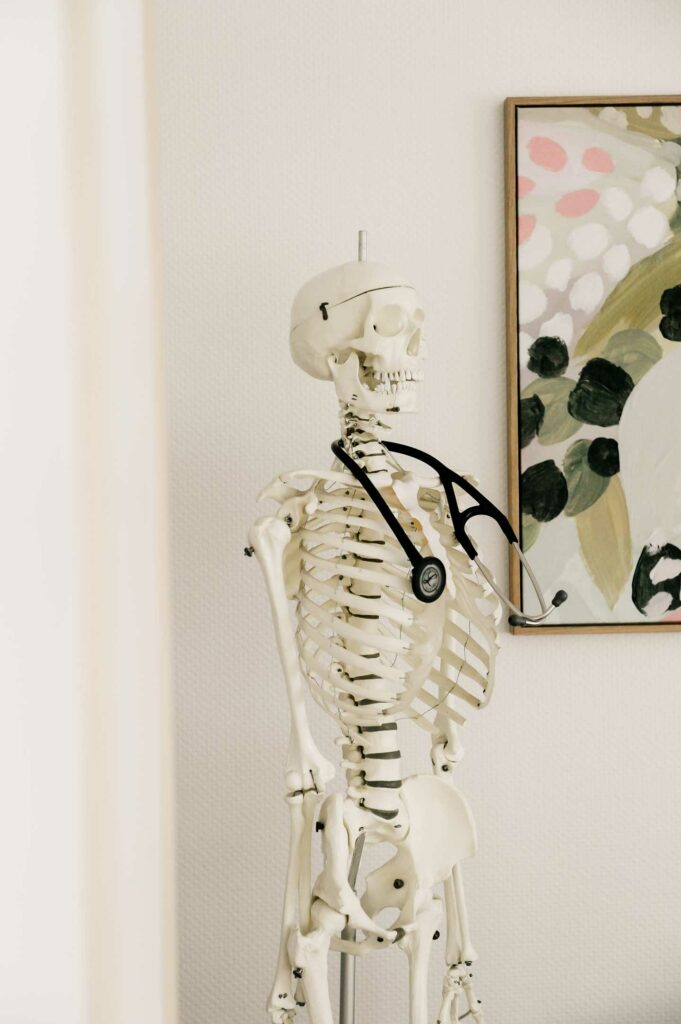 Anatomische Skelett in der Hausarztpraxis Schmoor in Bad Oyenhausen